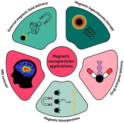  Magnetite - Ein Wundermaterial für innovative Biomedizinische Anwendungen und bahnbrechende Tissue Engineering Ansätze!